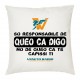 cuscino 40x40 scritta logo veneto radio so responsabile de queo ca digo