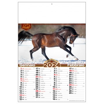 kit 100 Calendario bimensile “Cavalli”.  Carta patinata lucida 135 gr. Formato cm 33x48,8