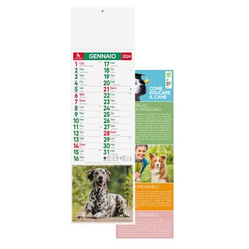 kit 100 Silhouette illustrato cani e gatti , mensile in carta patinata  con testata termosaldata e retro stampato